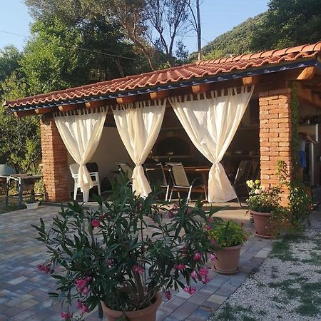 Apartments Olivera Супетарска-Драга Экстерьер фото